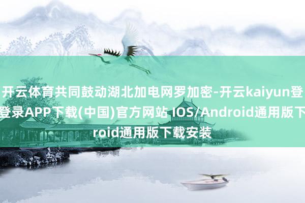 开云体育共同鼓动湖北加电网罗加密-开云kaiyun登录入口登录APP下载(中国)官方网站 IOS/Android通用版下载安装